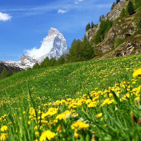 Hubertus-1 By Interhome * Zermatt